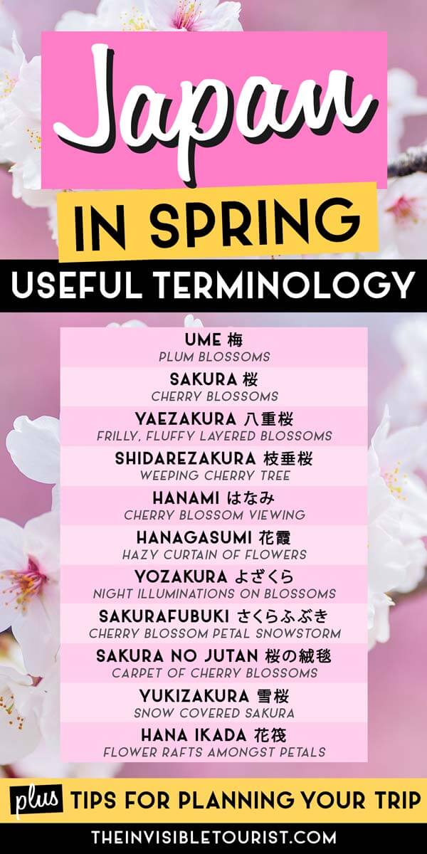 Japan in Spring - Useful Terminology | The Invisible Tourist x Lisa in Japan