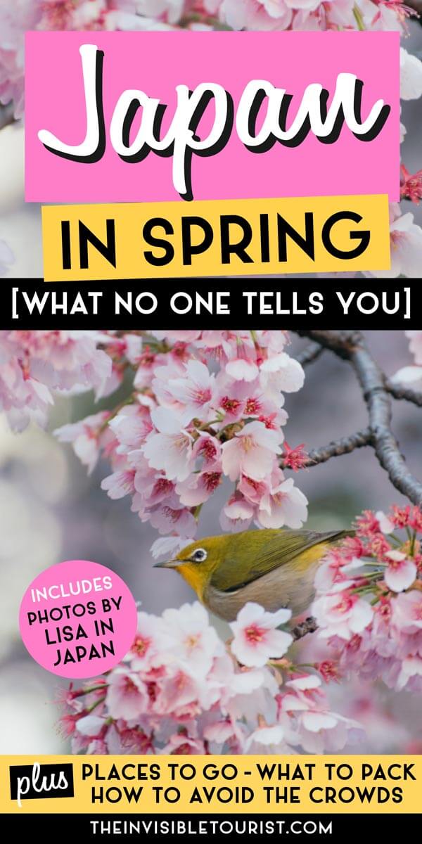 What No One Tells You About Spring in Japan: Where to Go, What to Pack (And How to Avoid Crowds) | The Invisible Tourist x Lisa in Japan