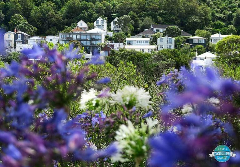 Thorndon Lookout, Wellington Botanic Gardens