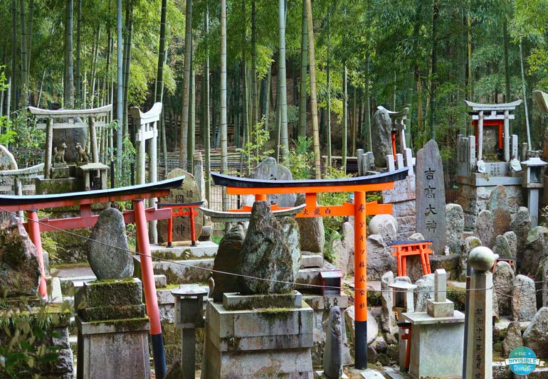 Fushimi Inari bamboo