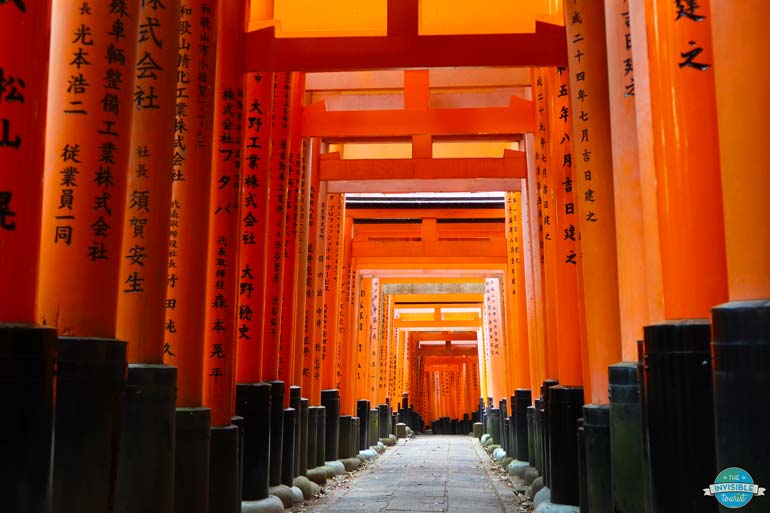 Torii tunnel at Fushimi Inari Kyoto