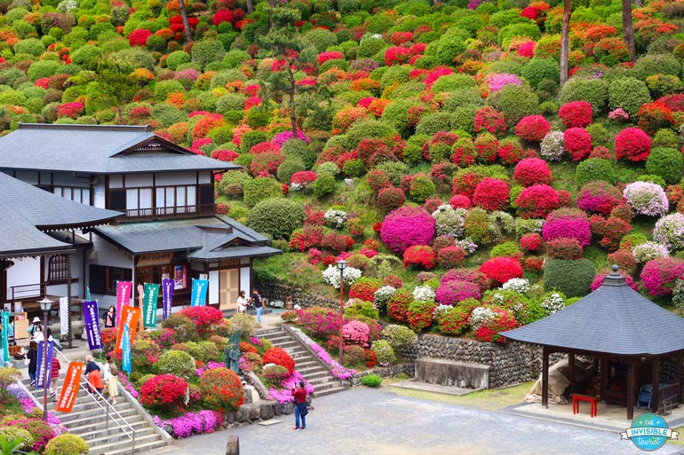 Azaleas are some of my personal favourite Japanese spring flowers