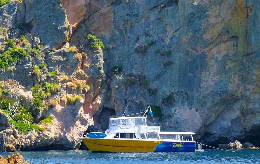 North Island Road Trip Poor Knights Marine Reserve