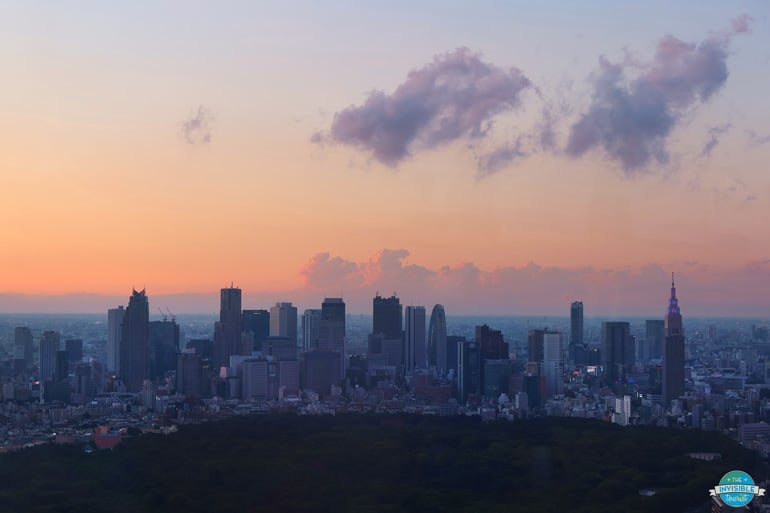 View of Shinjuku from Shibuya Sky, Tokyo