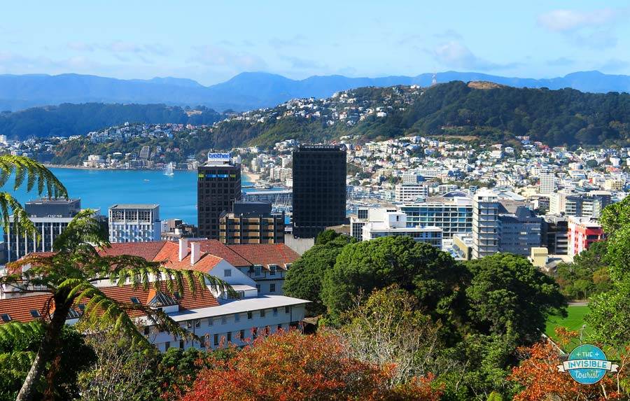 Wellington from above