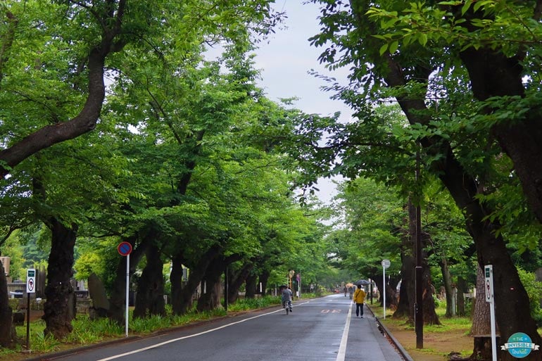 Yanaka Cemetery